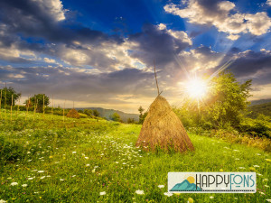 Фотофон виниловый «Рассвет в поле»