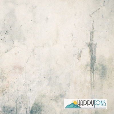 Пластиковый фотофон "Салли"